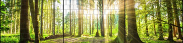Sichtschutz DECO-LINE "Wald" 1,8m x 7,5m Breite