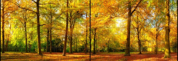 Sichtschutz DECO-LINE "Herbst" 1,8m x 5m Breite