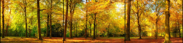 Sichtschutz DECO-LINE "Herbst" 1,8m x 7,5m Breite